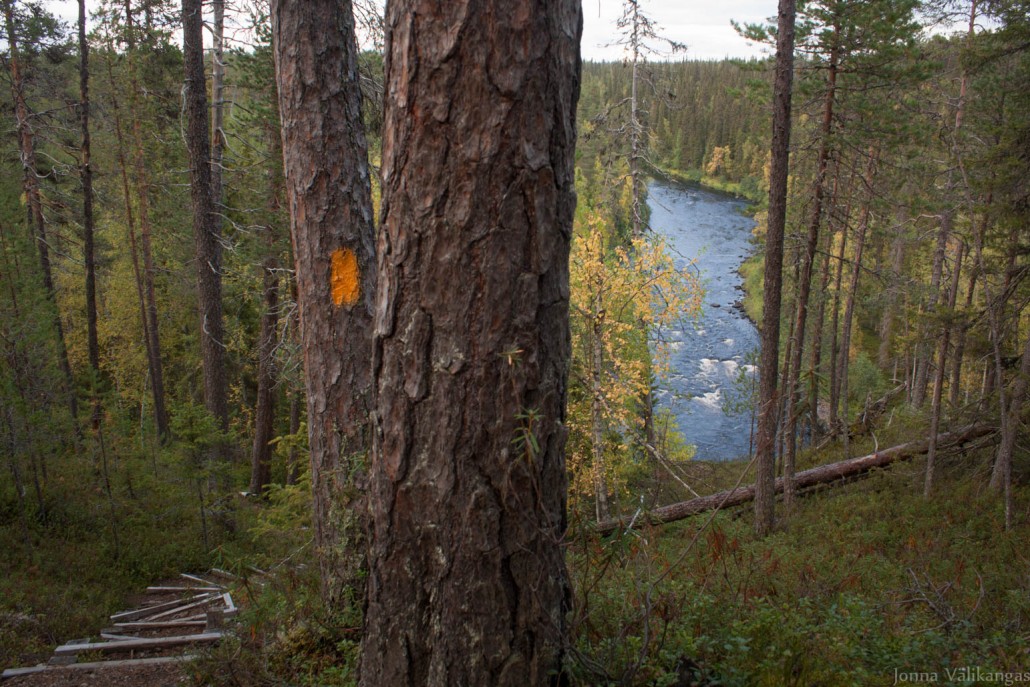 Savinajoki. Karhunkierros on merkitty oranssein maalimerkein.