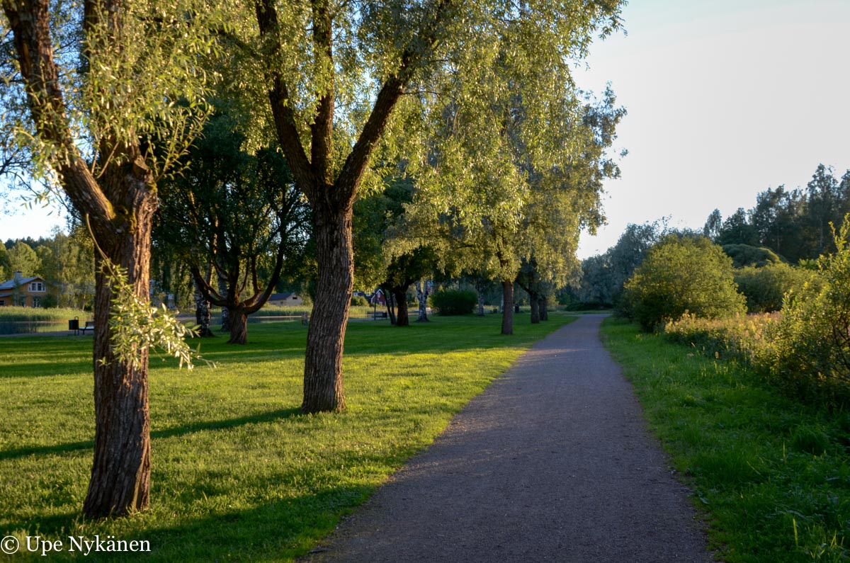 Hopeapajukuja kaupunkipuistossa, Maari, Porvoo