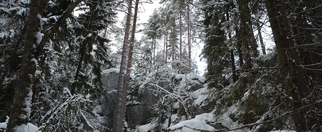 Synninlukon kalliorotko Jämsässä