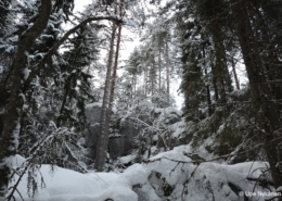 Synninlukon kalliorotko Jämsässä