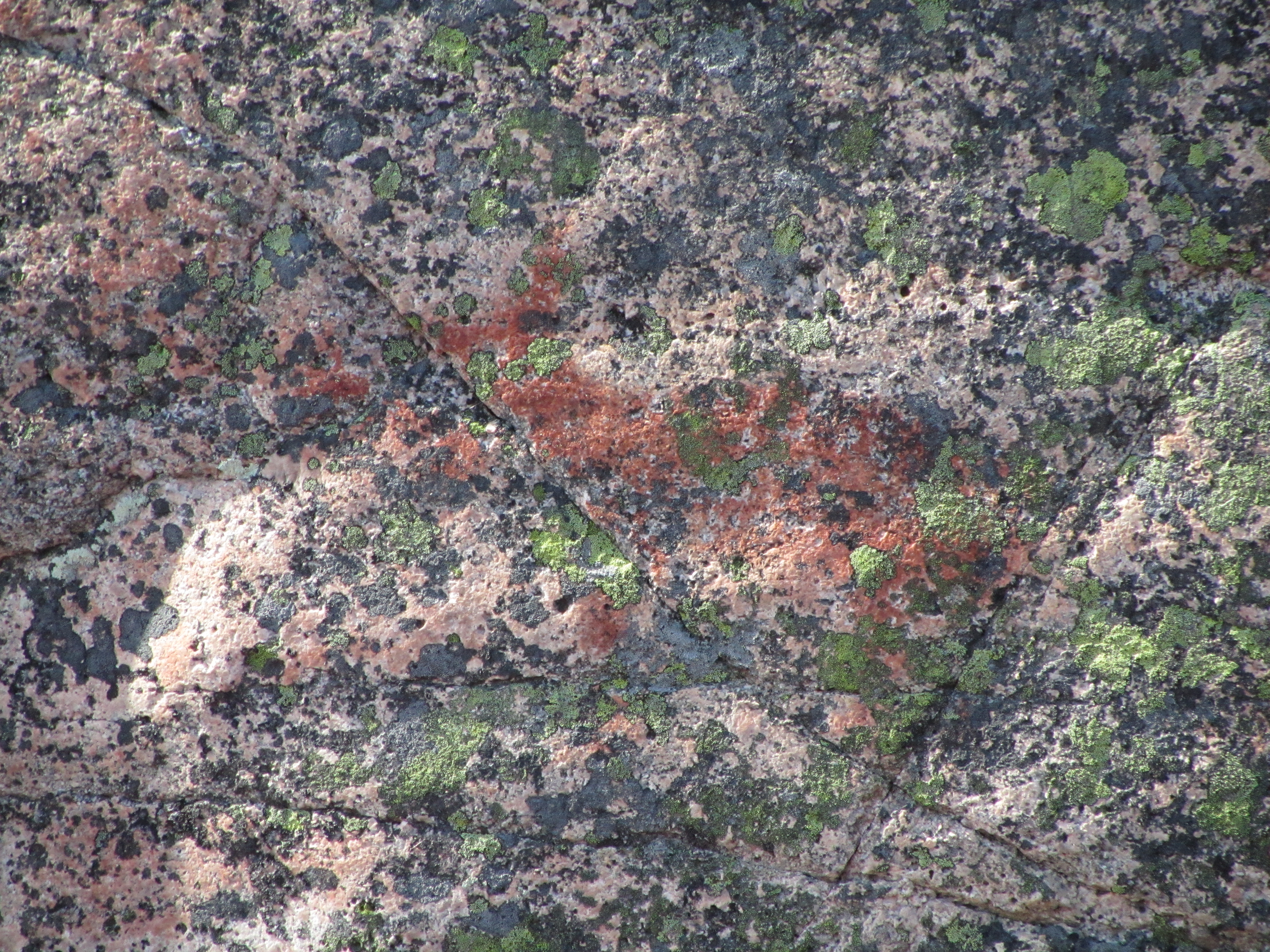 Nuuksio Pitkäjärven kalliomaalaus