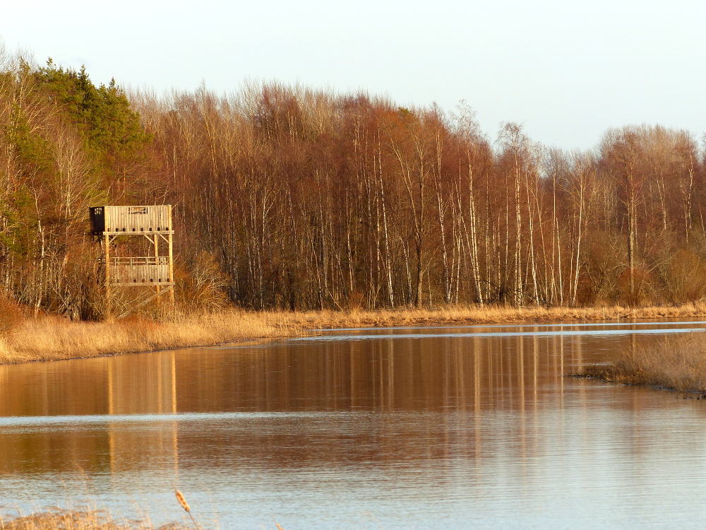 Puurijärvi-Isosuo - Ahvenuksen lintutorni