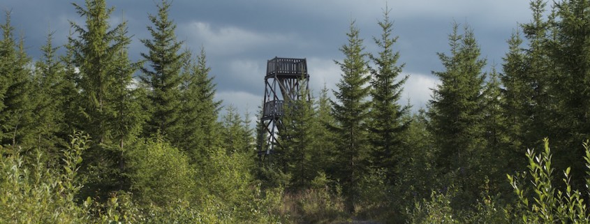 Perkausvuoren näkötorni, Kivijärvi