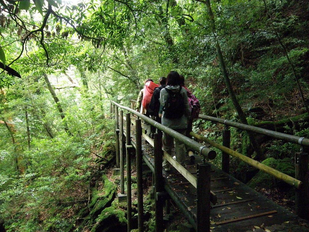Yakushimassa metsäkylpijät pääsevät vaeltamaan hyvin rakennettuja ja merkittyjä reittejä.