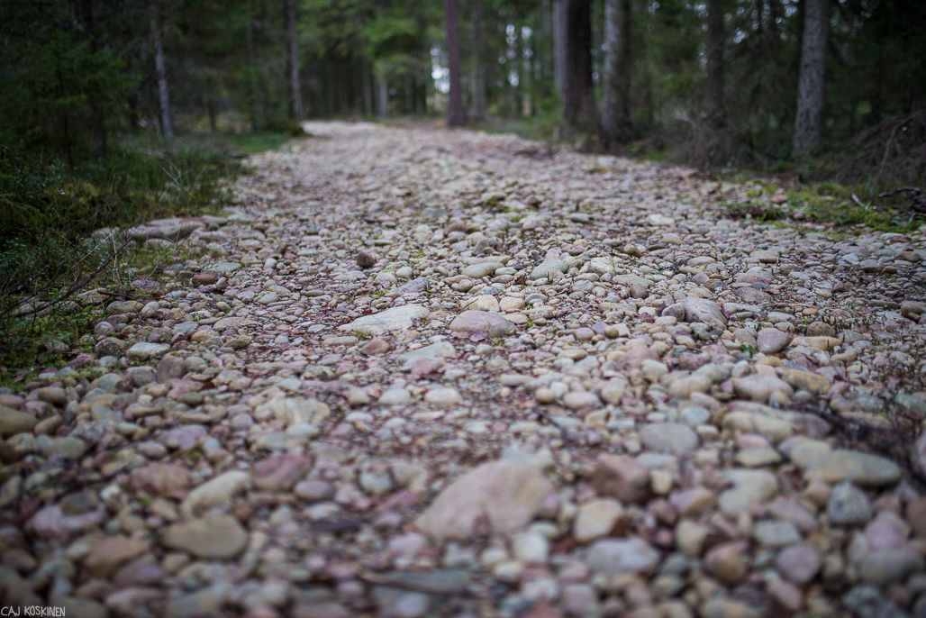 Ainutlaatuinen pyöreistä kivistä tehty tie.