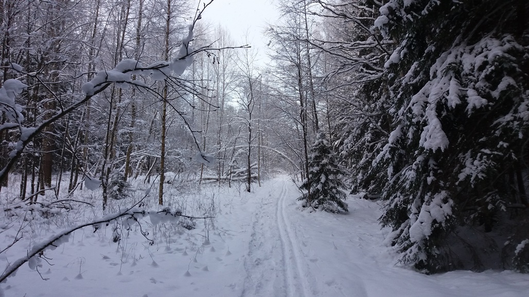 Hyvä on hiihtäjän hiihdellä Valkmusan talvimaailmassa.