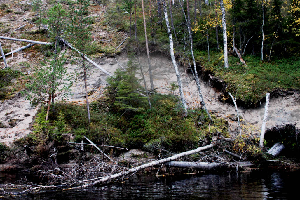 Veden aiheuttama eroosio voi varsinkin keväisin irrottaa kerralla isojakin kaistaleita joen reunamaata puineen.