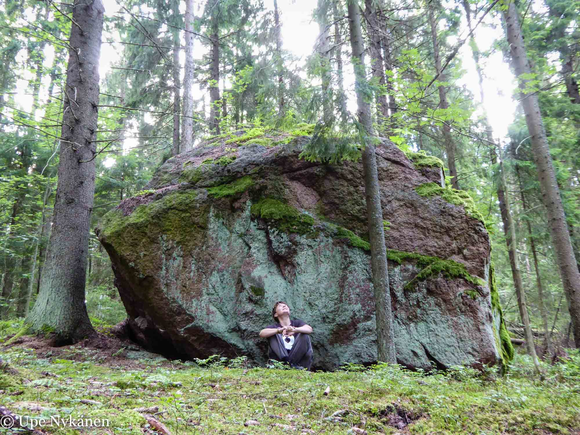 Iso kivi Sikosaaren luontopolulla