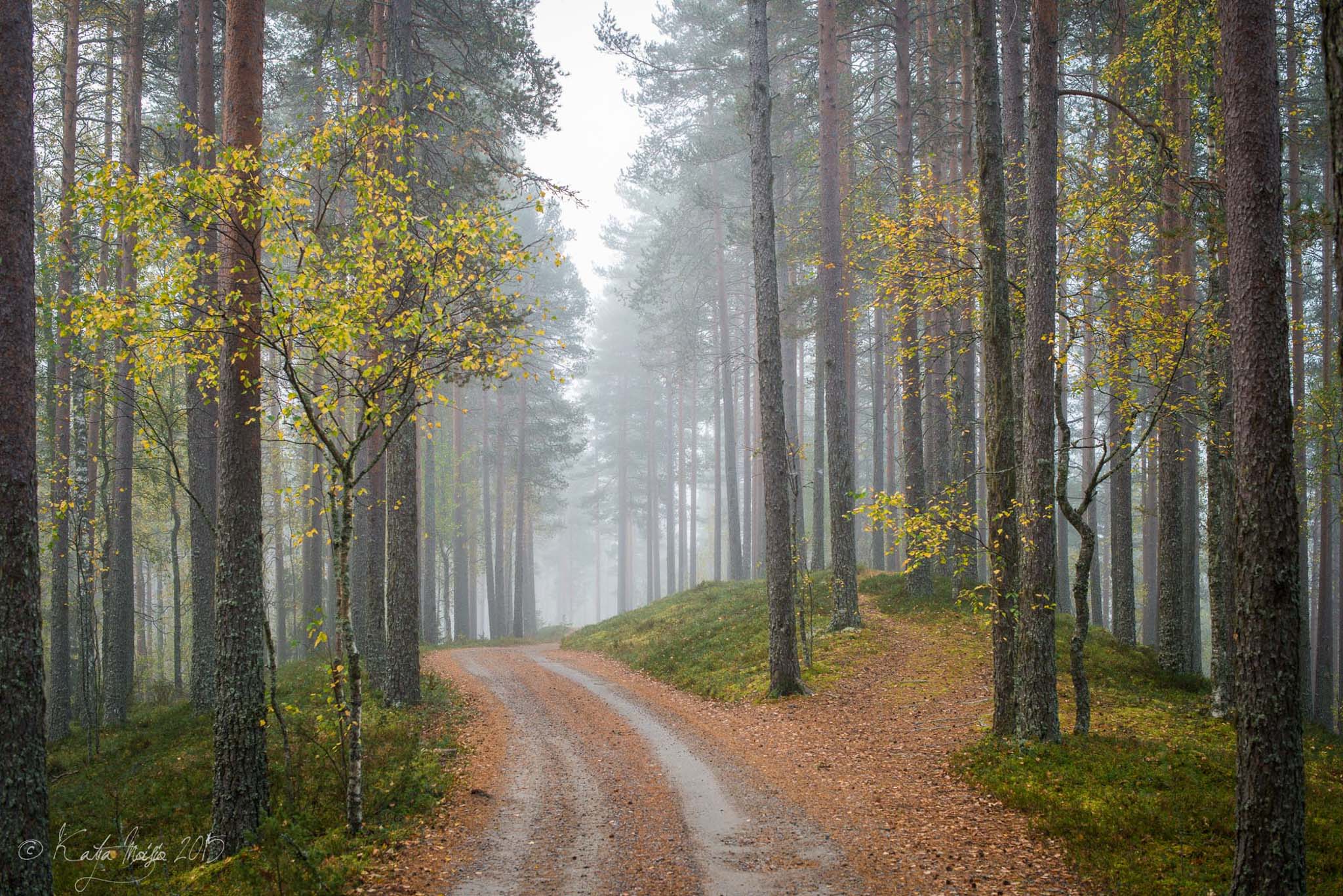 Pohjois Savo Retkipaikka Pohjois Savo Retkipaikka