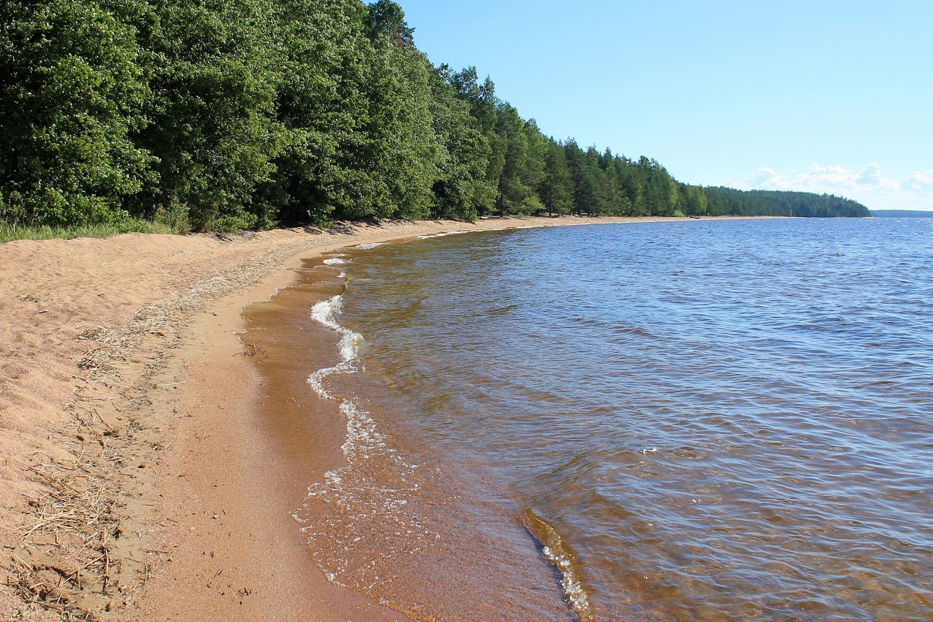 Huuhanranta on yksi Saimaan pisimmistä hiekkarannoista – voi pojat ...