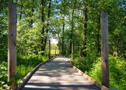 Lammassaaren esteetön pitkospolku Helsingin Pornaistenniemessä Kuva Terhi Jaakkola