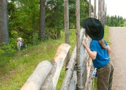 Jokioinen Elonkierto - Hämeen järviylänkö