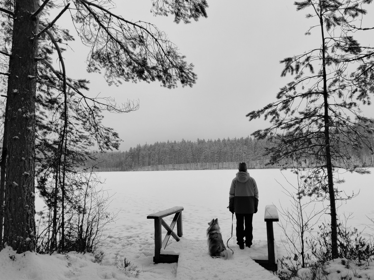 Step into the winter wonderland: a winter walk in Southern Konnevesi  National Park – FINLAND, NATURALLY