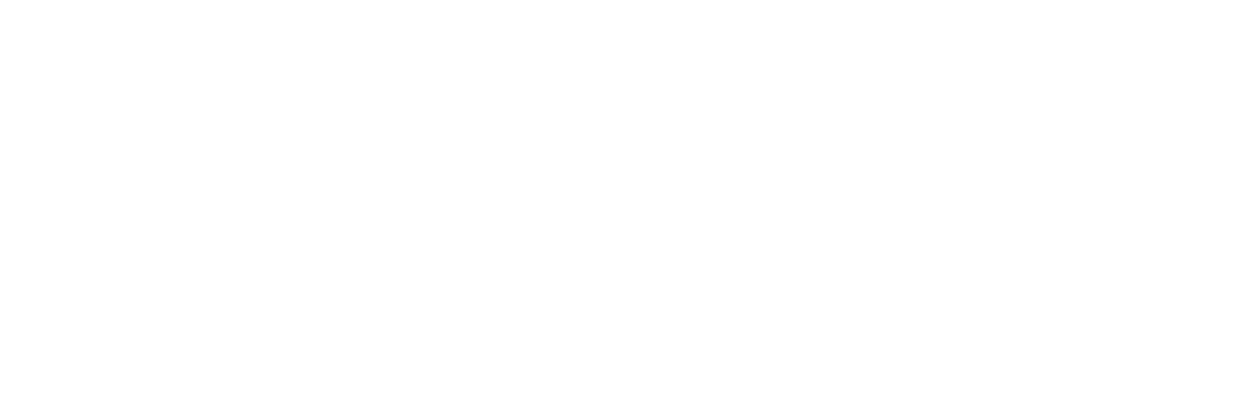 retkipaikka_logo_valkoinen_transparent