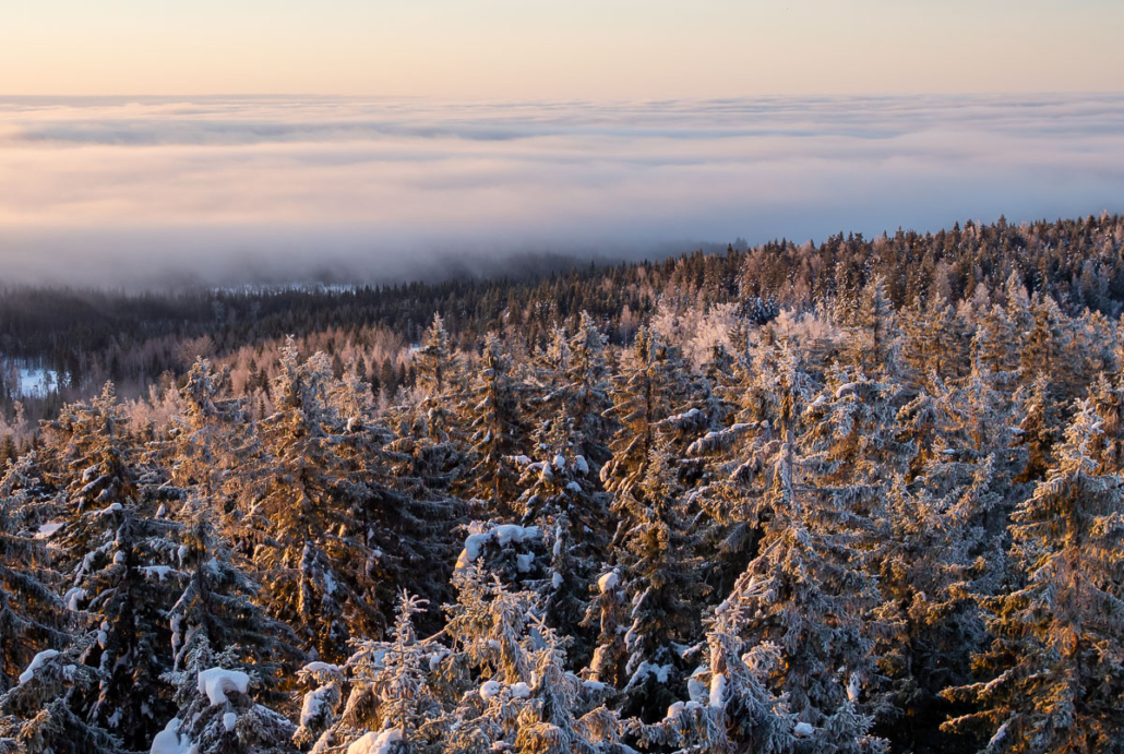 Pilviä ja lumista metsää Räsävaaran näkötornista katseltuna. Kuva: Terhi Ilosaari