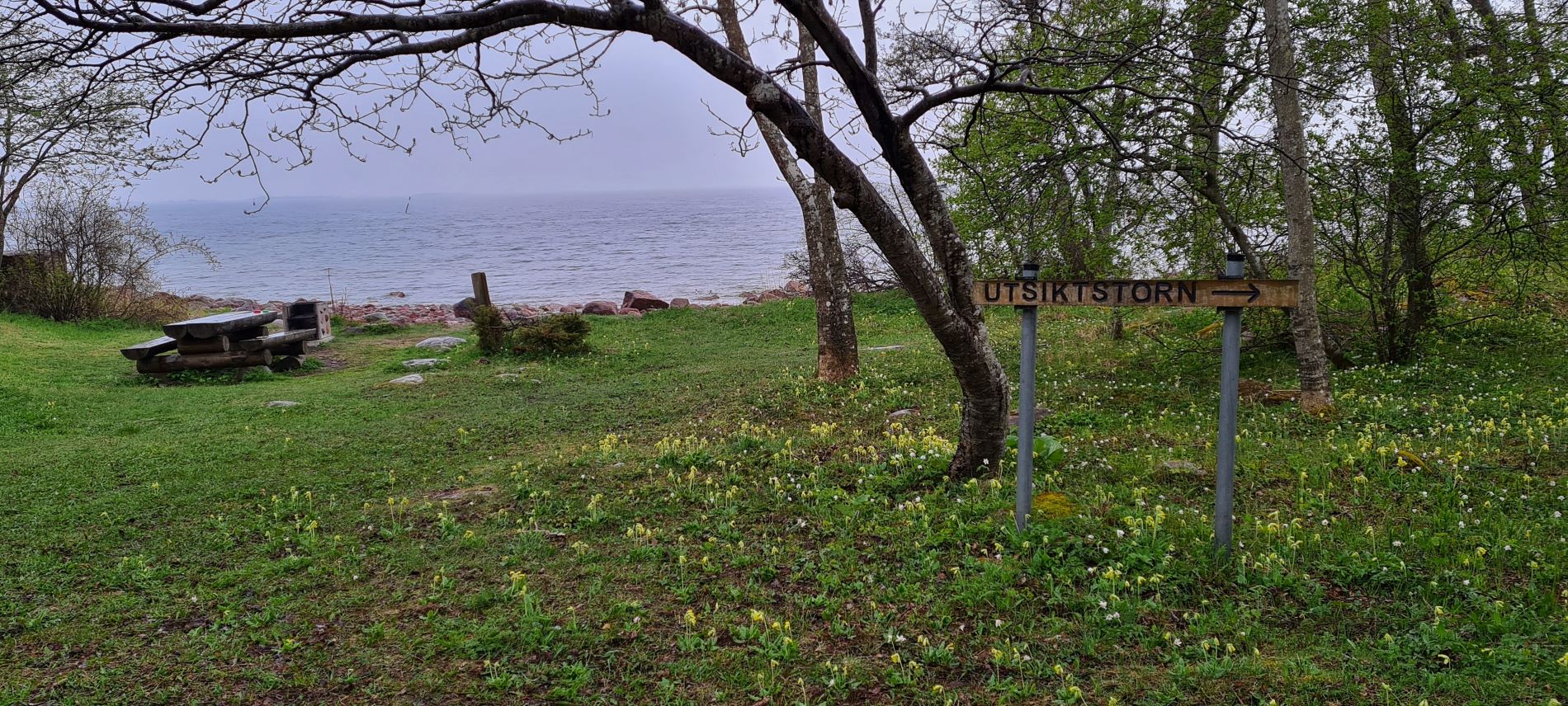 N ill Kallioilla Kuivattiin Silakkaa Nyt Nautitaan Kivasta n-ill-kallioilla-kuivattiin-silakkaa-nyt-nautitaan-kivasta