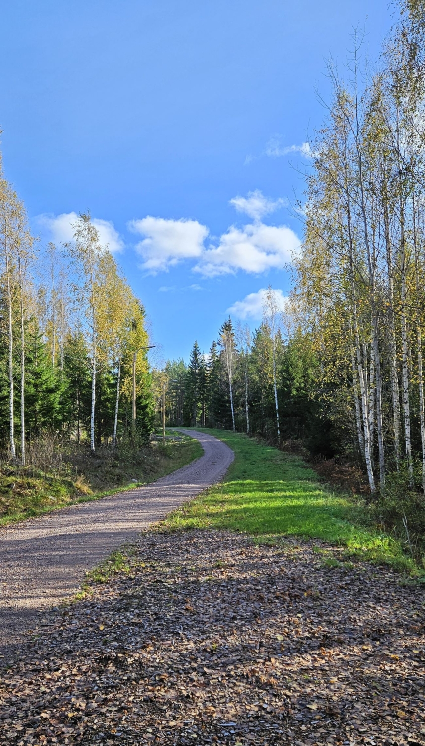 ULKOILUREITTI visual data 4