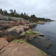 Punertavanharmaat, levien ja jäkälien koristamat silokalliot laskeutuvat tyynipintaiseen Itämereen harmaan taivaan alla.