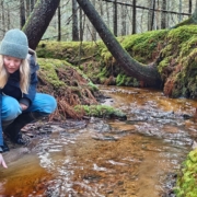 A warmly dressed fair-haired woman bent over a thawed, sandy-bottomed forest brook in a spruce forest.