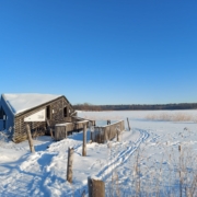 lammassaari14