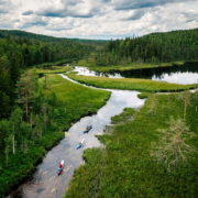 Lieviskajoki goSaimaa 6