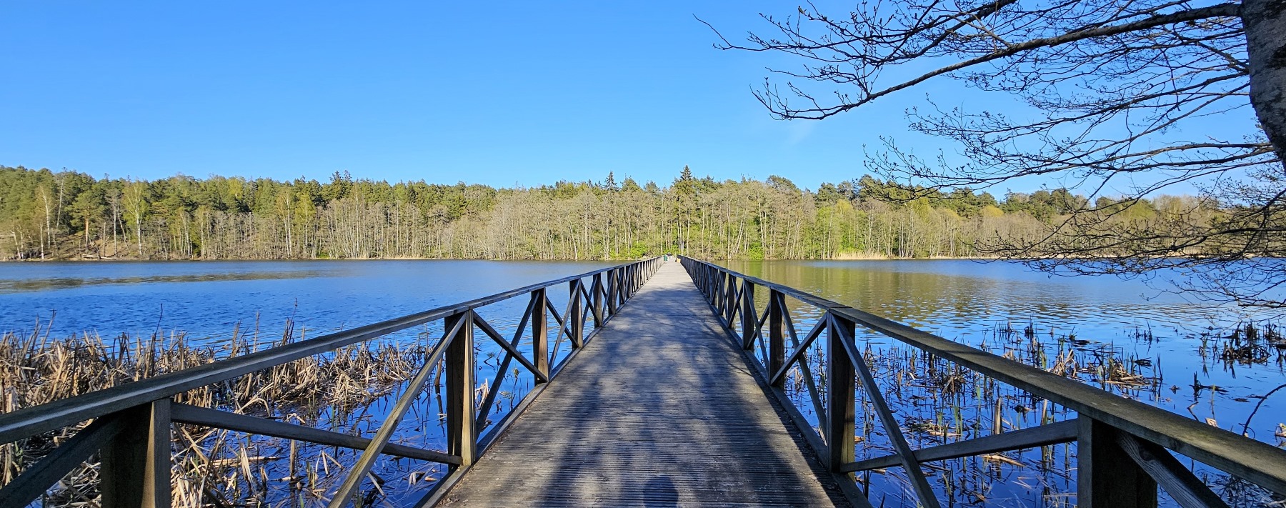 Järviluontoa tarkkailemassa - mukavalla Luolalanjärven luontopolulla Naantalissa - Retkipaikka