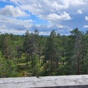 Maasydanjarvi18